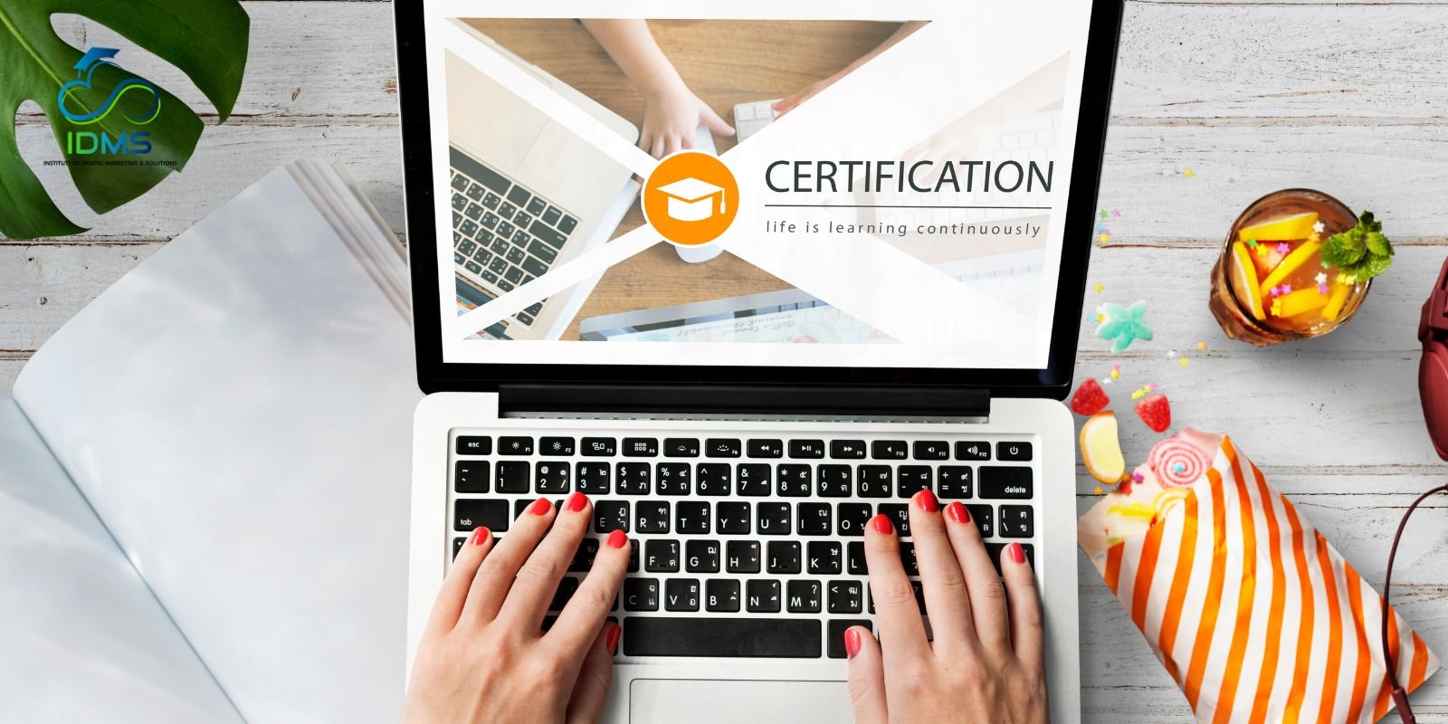 digital marketing training in rohtak